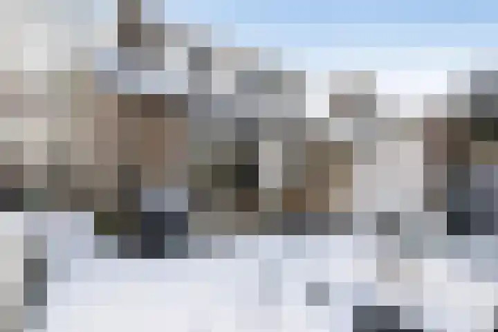 Elzenoord 14 Vaassen thumbnail 23