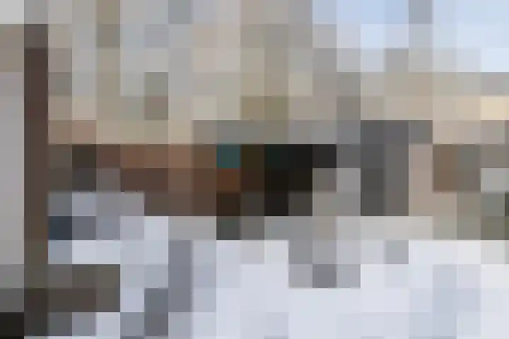 Elzenoord 14 Vaassen thumbnail 24