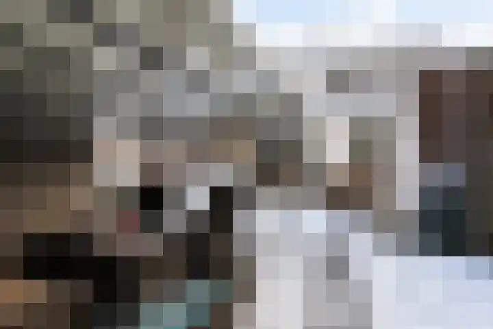 Elzenoord 14 Vaassen thumbnail 25
