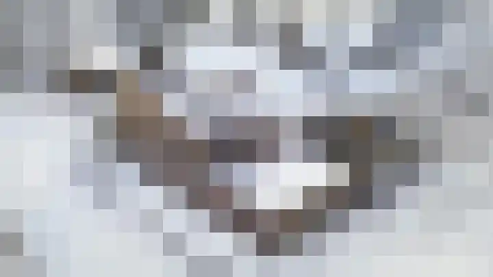 Elzenoord 14 Vaassen thumbnail 27