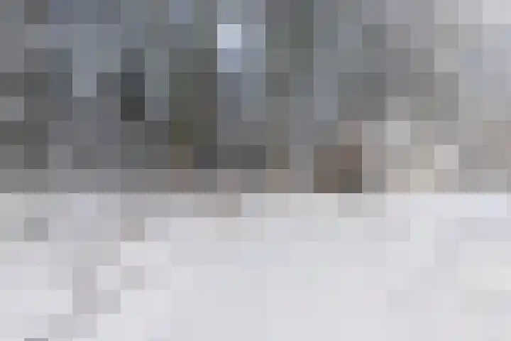 Elzenoord 14 Vaassen thumbnail 30