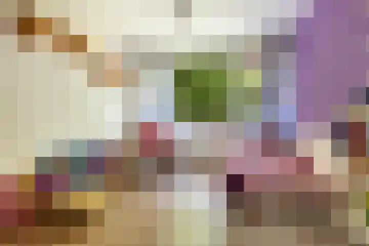 Elzenoord 15 Vaassen thumbnail 10