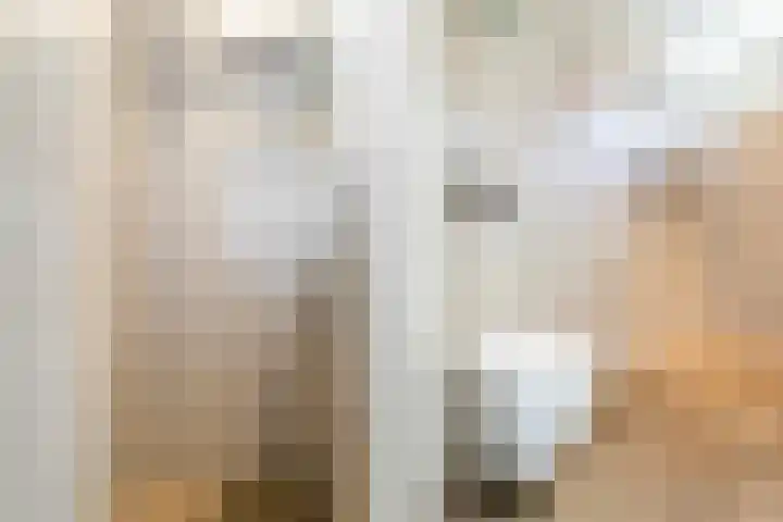 Elzenoord 15 Vaassen thumbnail 14