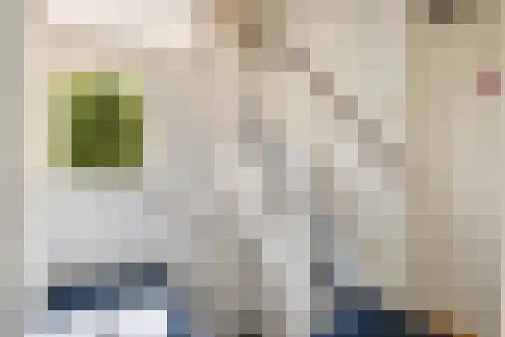 Elzenoord 15 Vaassen thumbnail 15