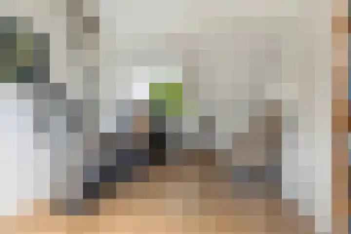Elzenoord 15 Vaassen thumbnail 17