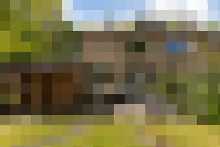 Elzenoord 15 Vaassen thumbnail 19