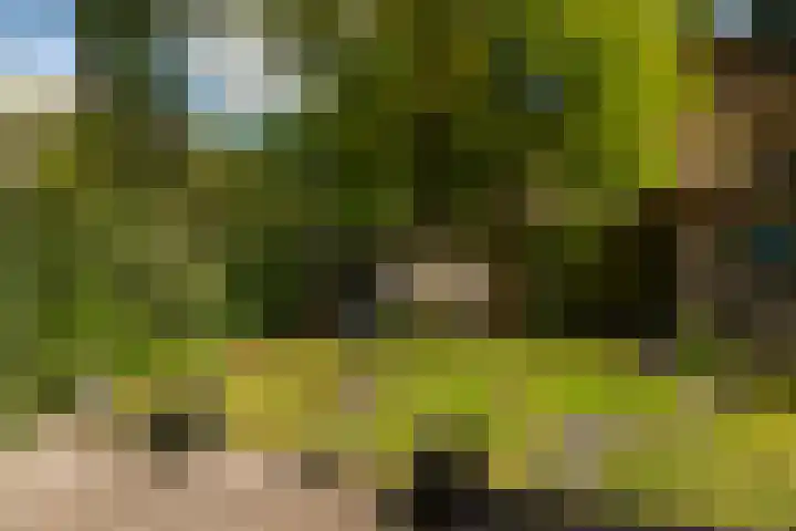 Elzenoord 15 Vaassen thumbnail 20