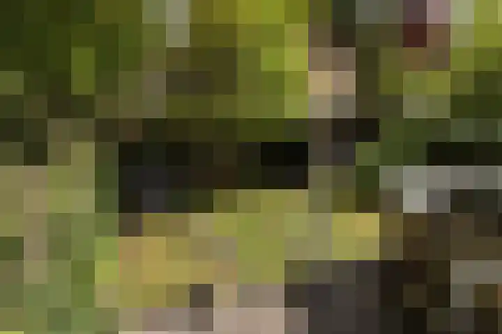 Elzenoord 15 Vaassen thumbnail 21