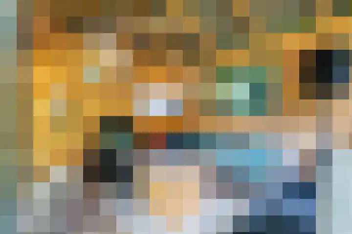 Elzenoord 15 Vaassen thumbnail 22