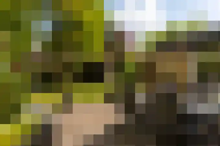 Elzenoord 15 Vaassen thumbnail 23
