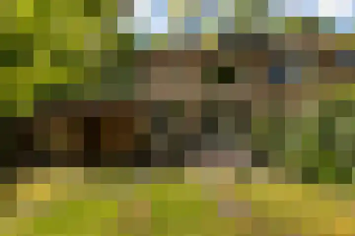 Elzenoord 15 Vaassen thumbnail 24