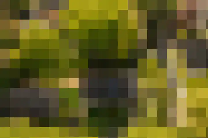 Elzenoord 15 Vaassen thumbnail 27