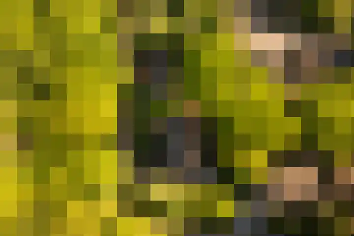 Elzenoord 15 Vaassen thumbnail 29