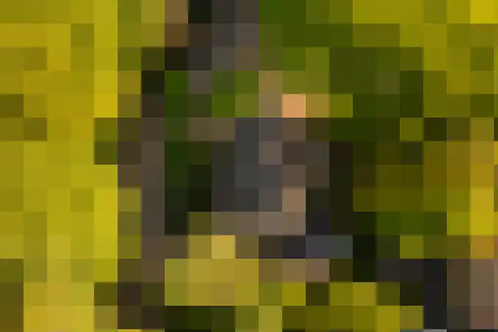 Elzenoord 15 Vaassen thumbnail 30