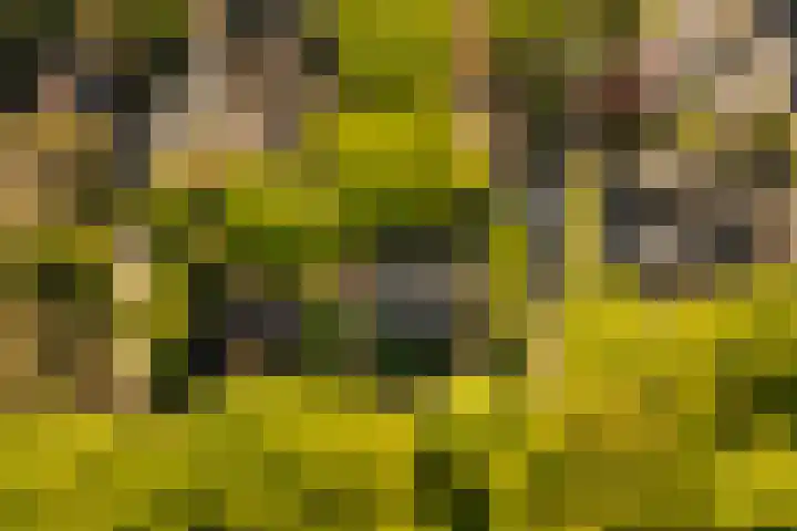 Elzenoord 15 Vaassen thumbnail 31