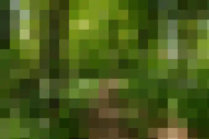 Elzenoord 15 Vaassen thumbnail 32