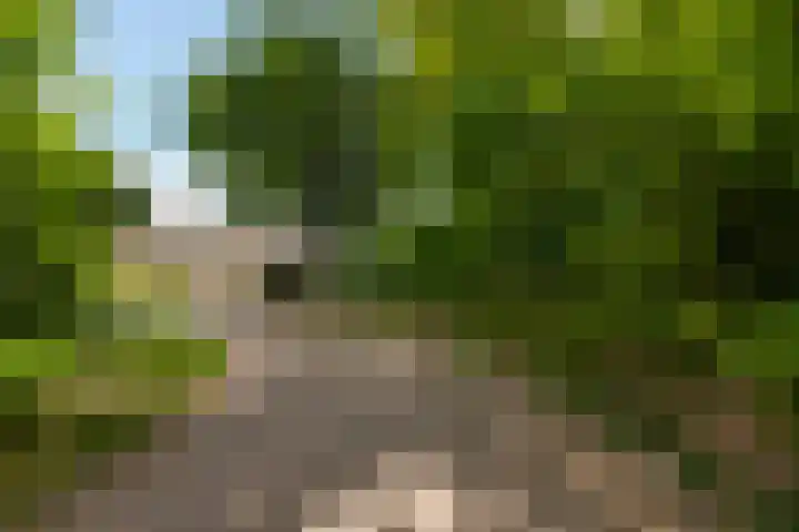 Elzenoord 15 Vaassen thumbnail 35