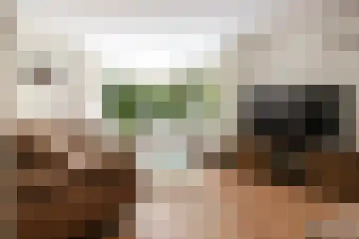 Elzenoord 15 Vaassen thumbnail 4