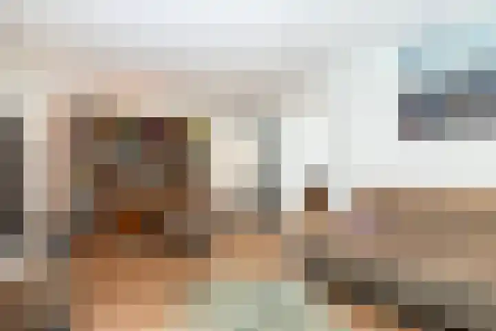 Elzenoord 15 Vaassen thumbnail 5