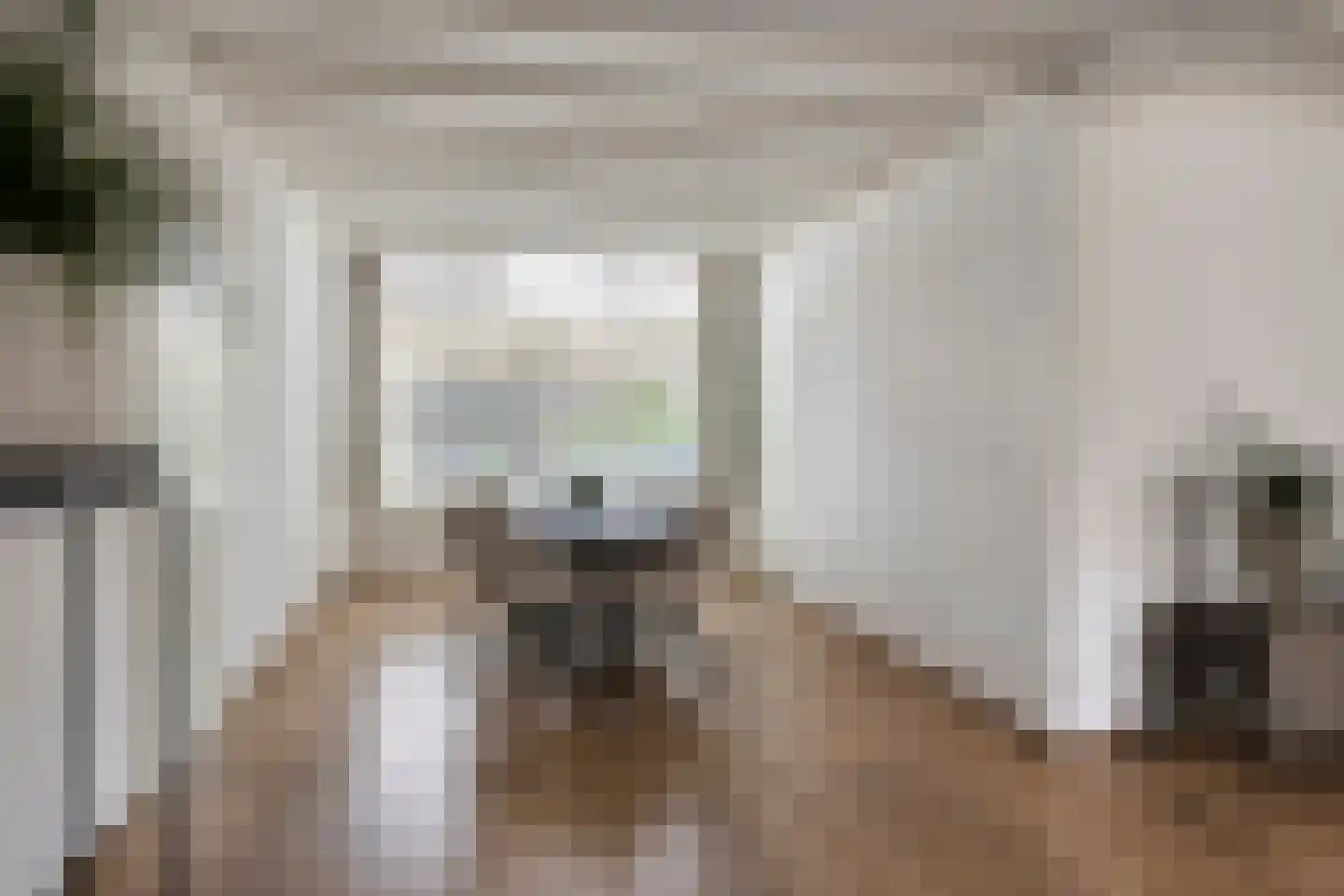 Elzenoord 30 Vaassen thumbnail 10