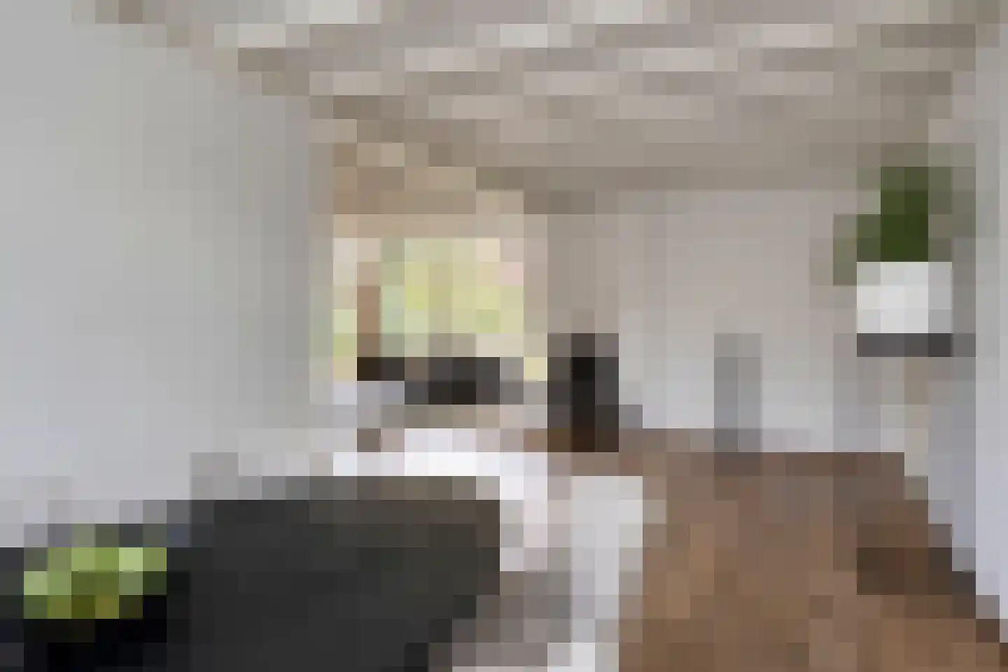 Elzenoord 30 Vaassen thumbnail 11