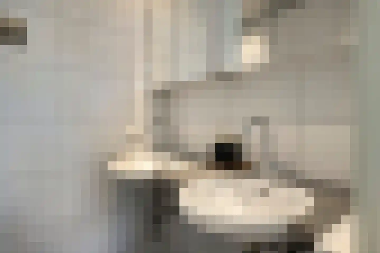 Elzenoord 30 Vaassen thumbnail 30