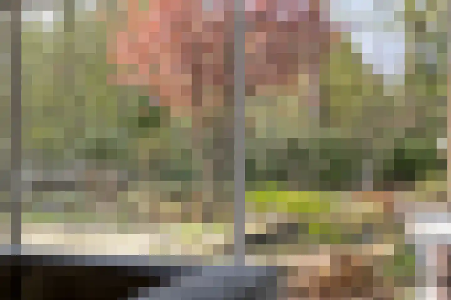 Elzenoord 30 Vaassen thumbnail 42