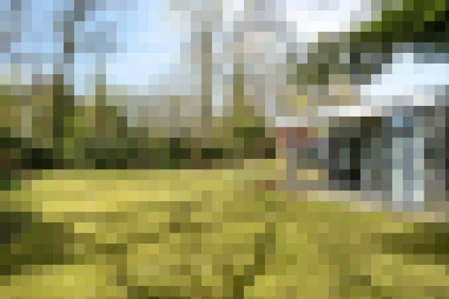 Elzenoord 30 Vaassen thumbnail 44
