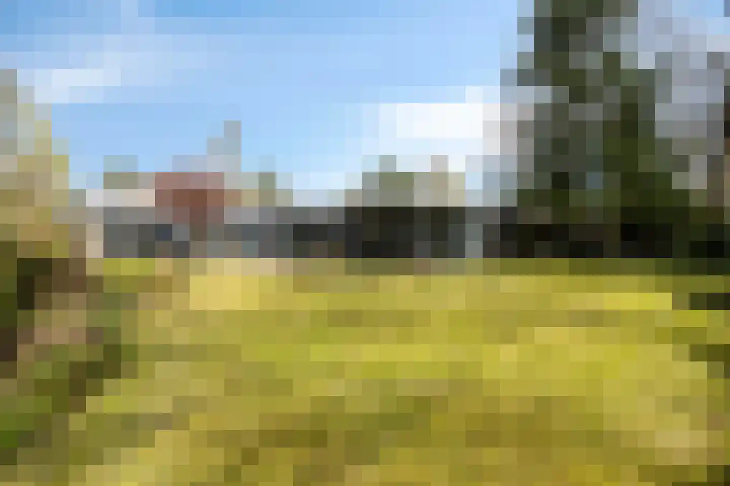 Elzenoord 30 Vaassen thumbnail 45