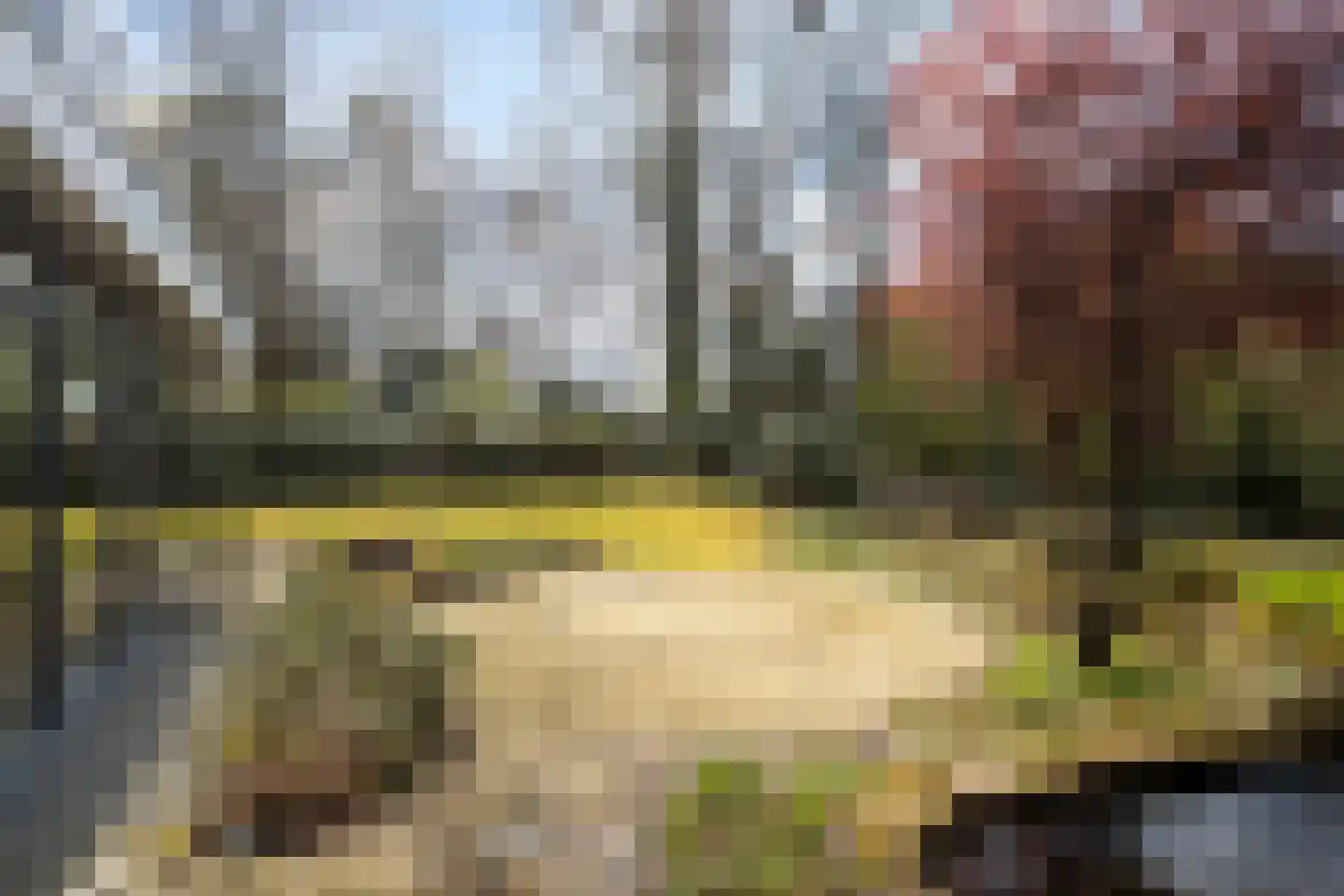 Elzenoord 30 Vaassen thumbnail 47