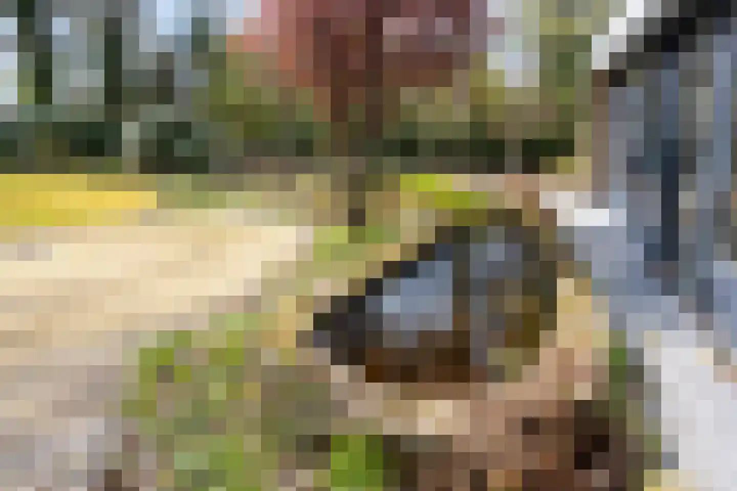 Elzenoord 30 Vaassen thumbnail 48