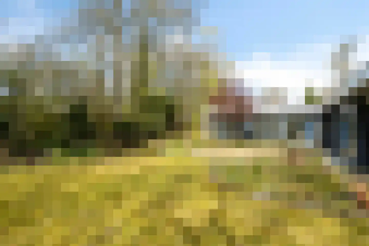 Elzenoord 30 Vaassen thumbnail 49