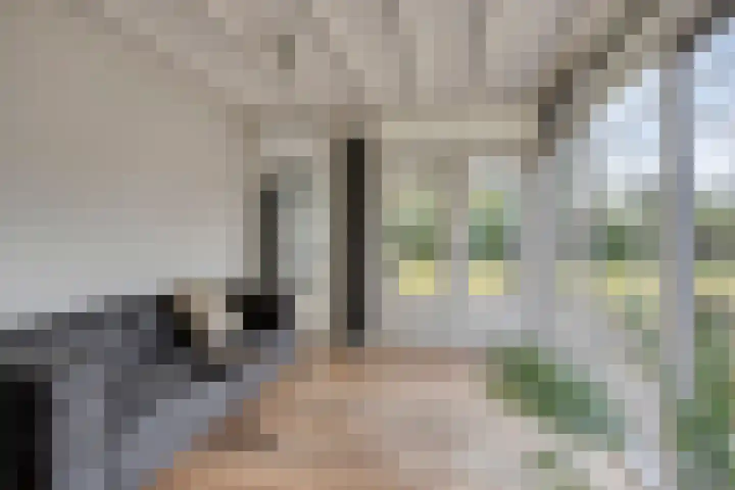 Elzenoord 30 Vaassen thumbnail 5