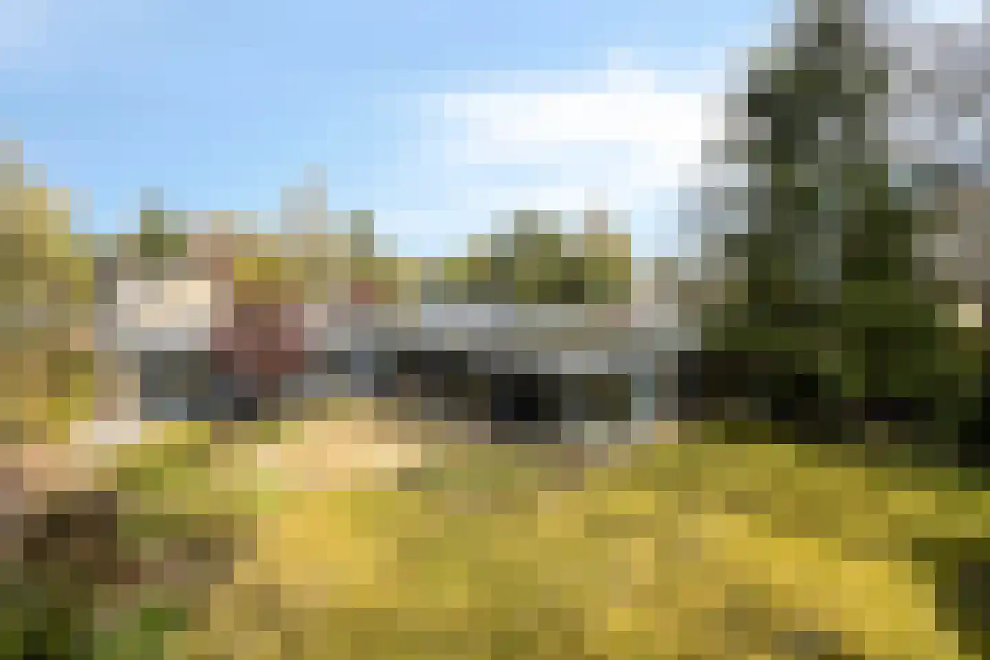 Elzenoord 30 Vaassen thumbnail 50