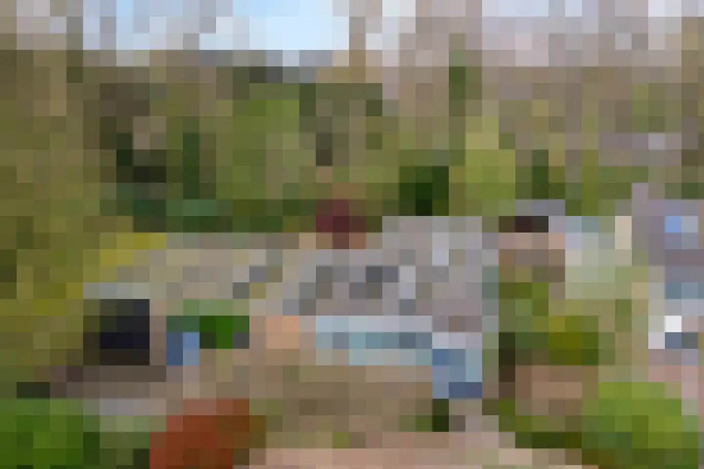 Elzenoord 30 Vaassen thumbnail 56