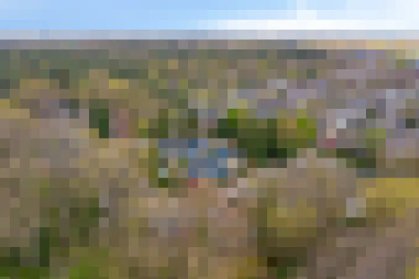 Elzenoord 30 Vaassen thumbnail 59