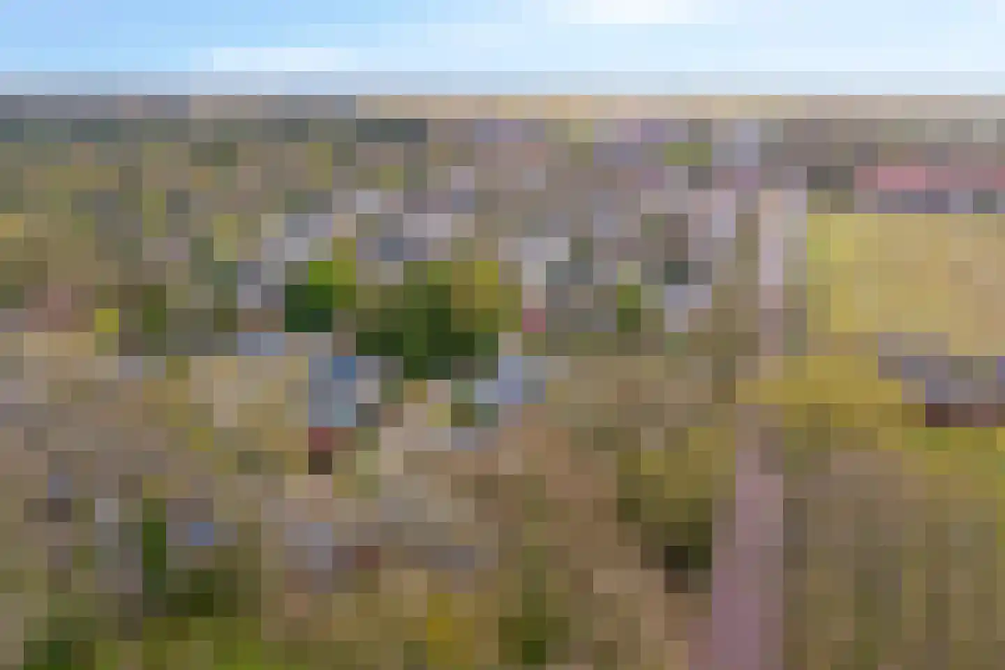 Elzenoord 30 Vaassen thumbnail 60