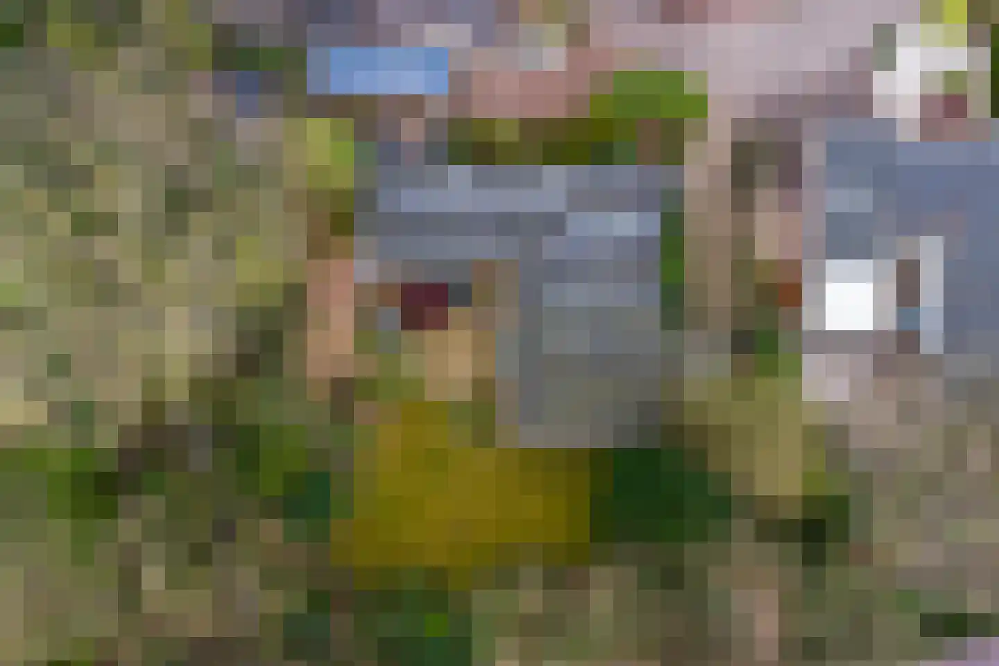Elzenoord 30 Vaassen thumbnail 61
