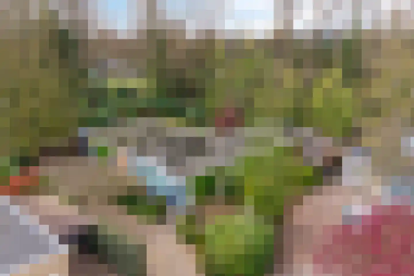 Elzenoord 30 Vaassen thumbnail 62