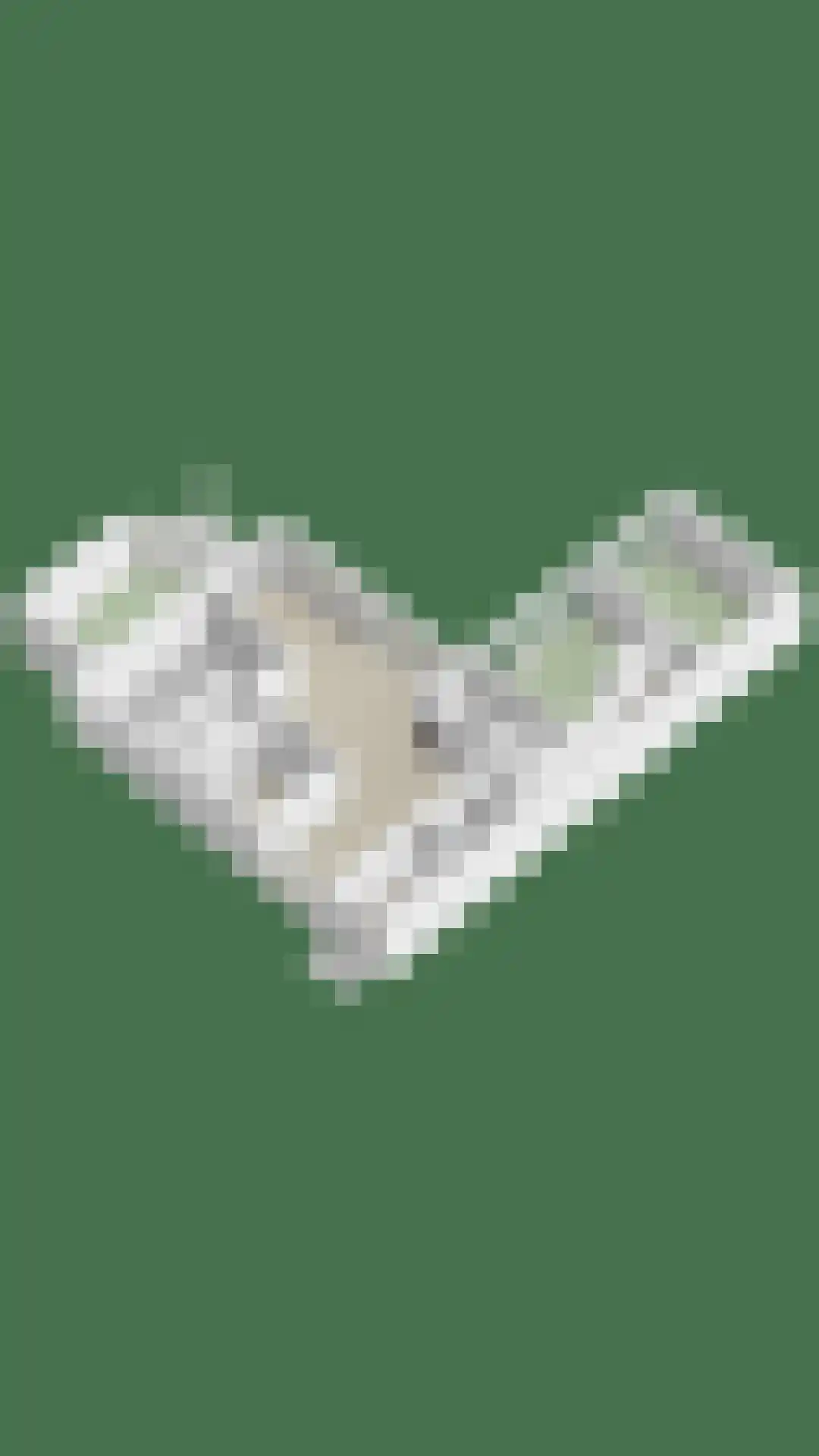 Elzenoord 30 Vaassen thumbnail 70