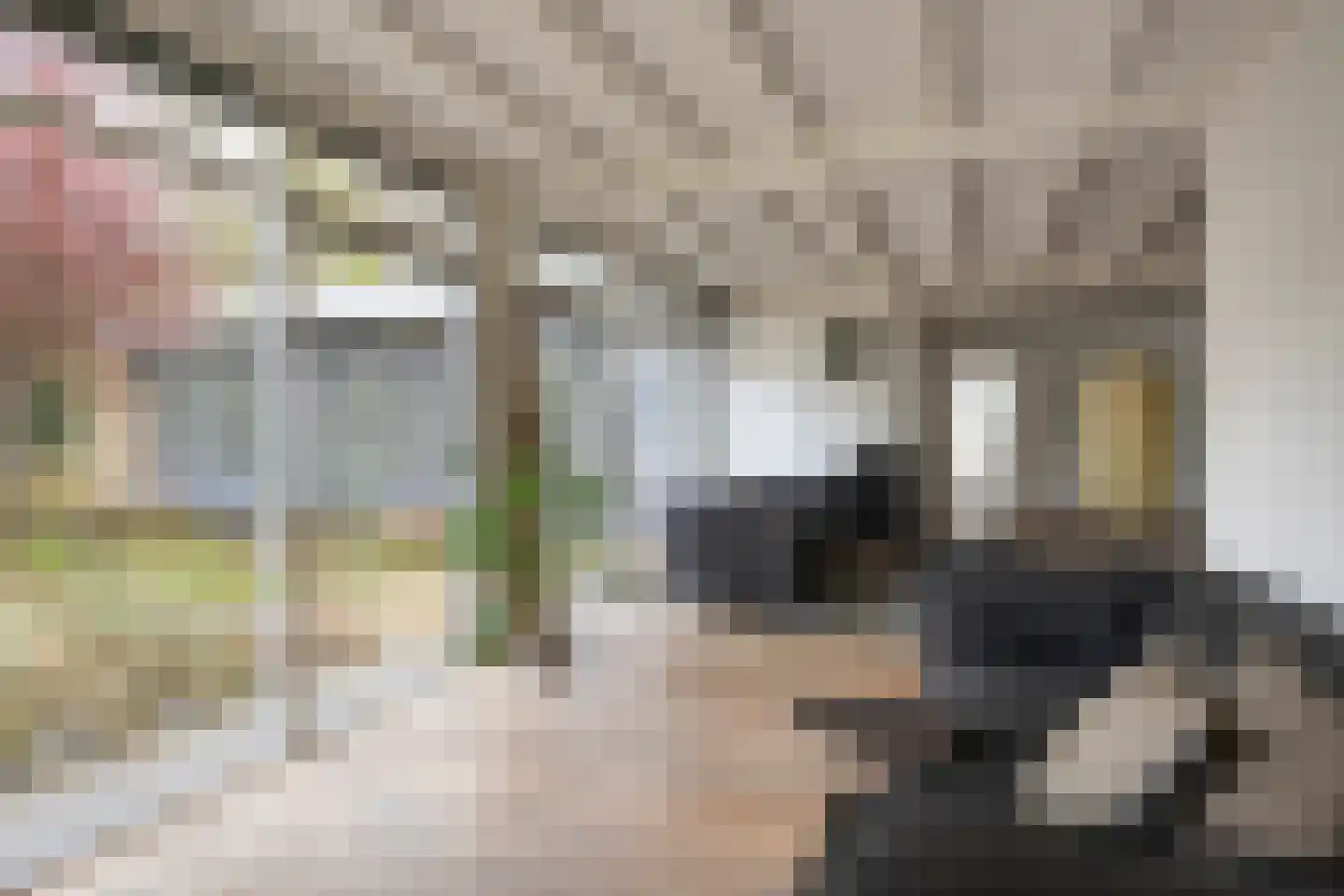Elzenoord 30 Vaassen thumbnail 8