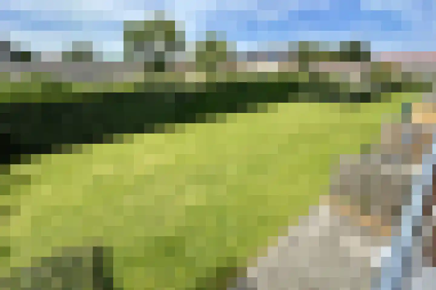 Elzenoordlaan 26 B Vrouwenpolder thumbnail 24