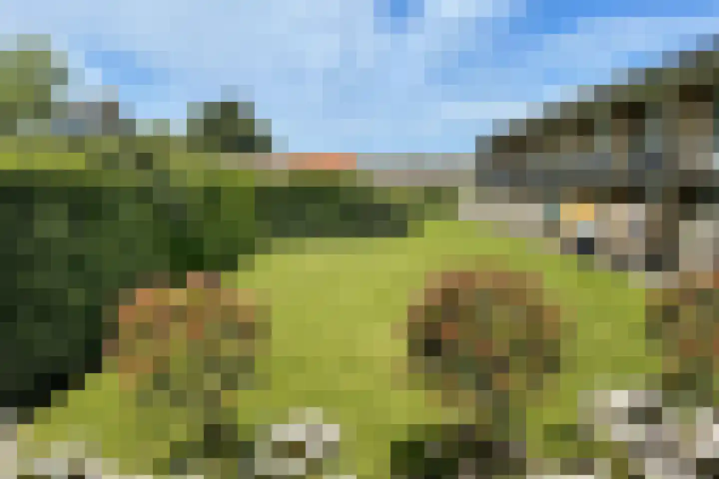 Elzenoordlaan 26 B Vrouwenpolder thumbnail 25