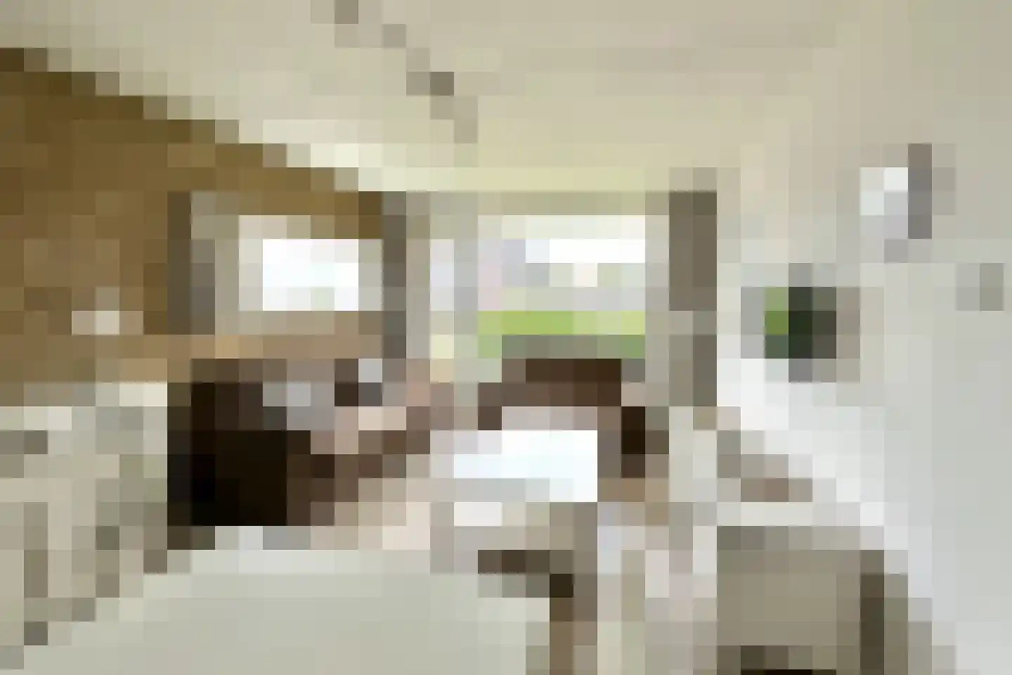 Elzenoordlaan 26 B Vrouwenpolder thumbnail 6