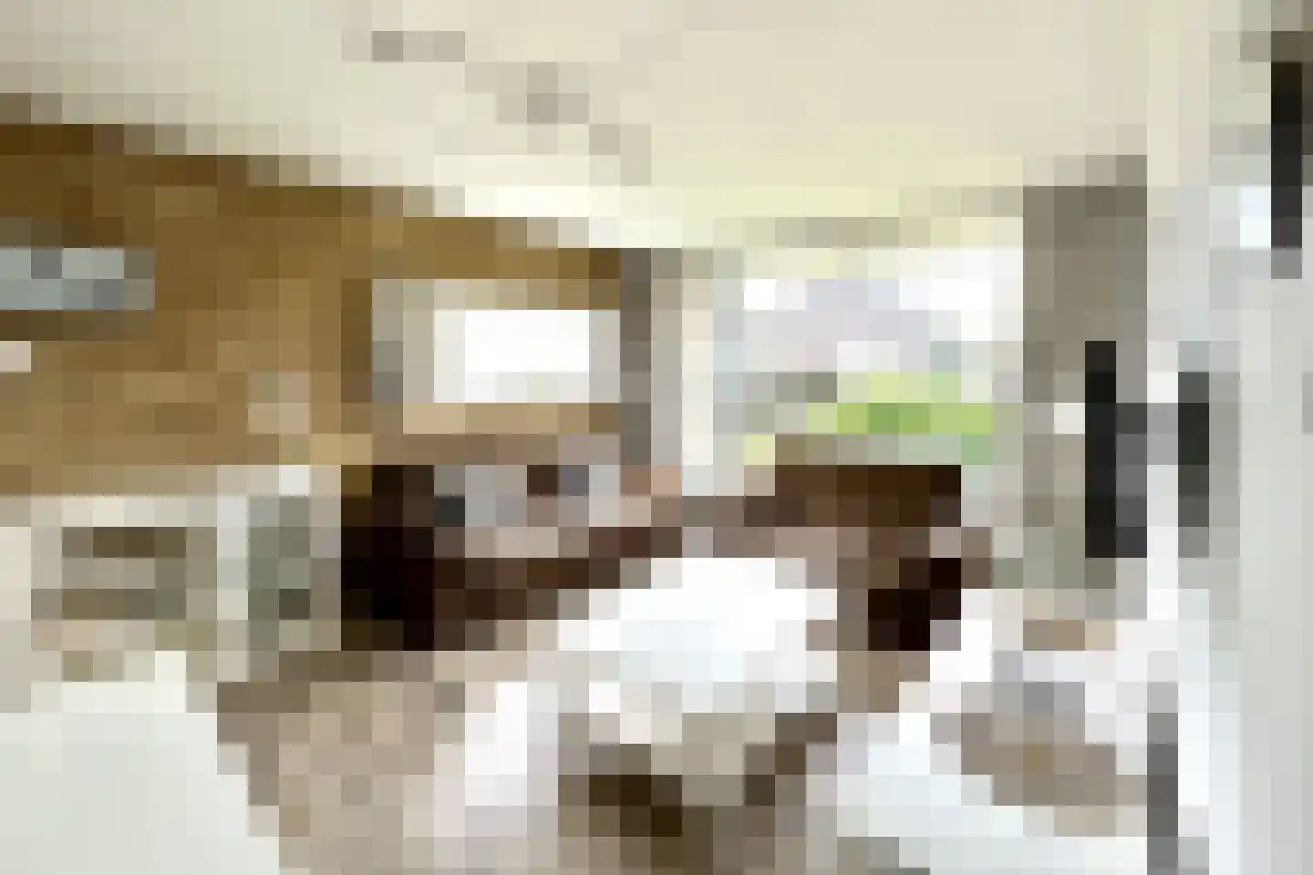 Elzenoordlaan 26 B Vrouwenpolder thumbnail 7