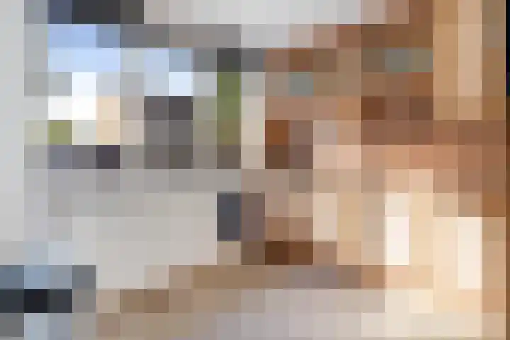 Elzenpad 11 Oud Gastel thumbnail 18
