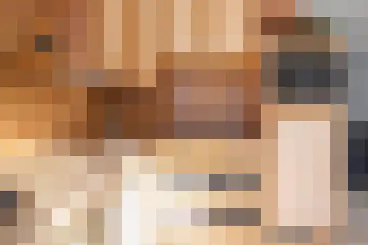 Elzenpad 11 Oud Gastel thumbnail 21