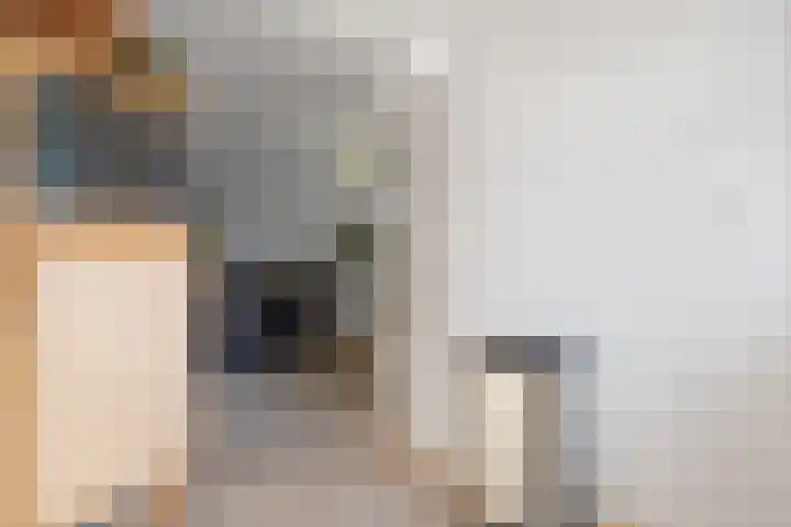 Elzenpad 11 Oud Gastel thumbnail 22