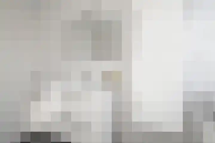 Elzenpad 11 Oud Gastel thumbnail 36