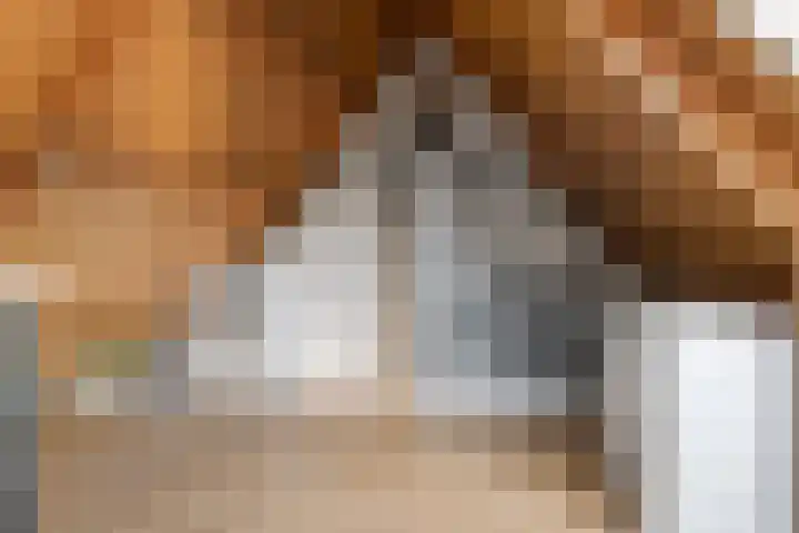 Elzenpad 11 Oud Gastel thumbnail 41